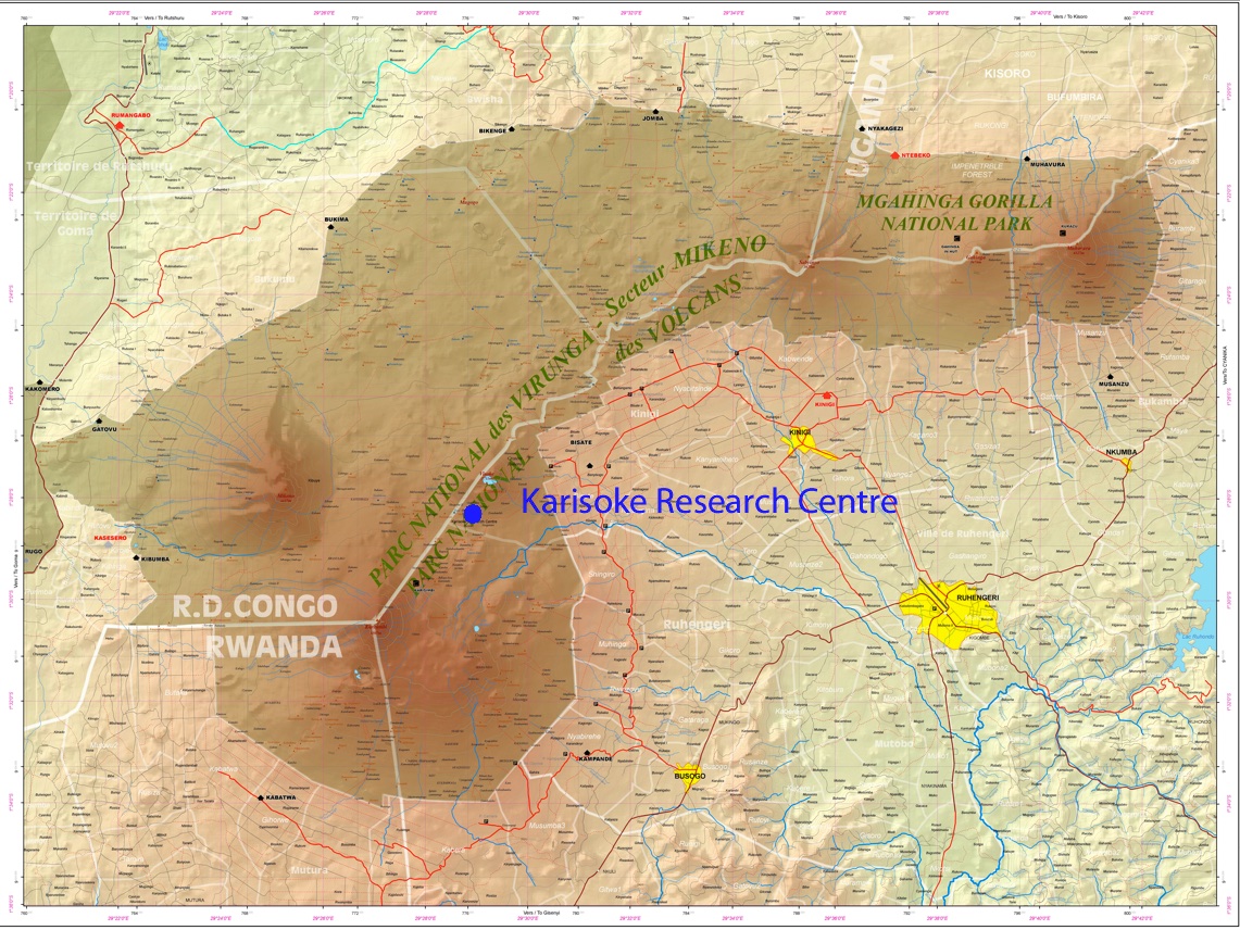 Virunga Volcanoes